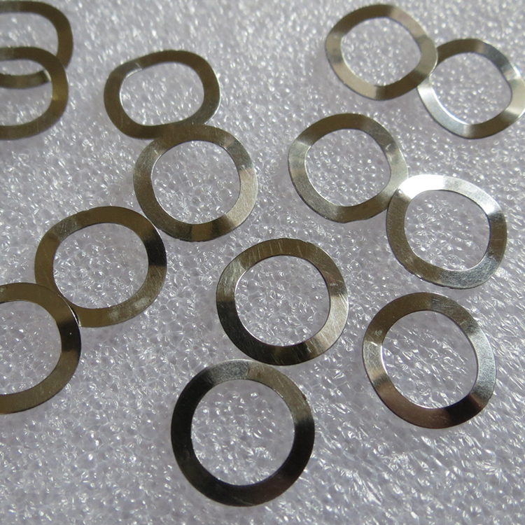 316 Stainless Steel Coin Cell Wave Spring(Belleville Washers) for CR2032 Battery